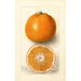 Reproductie van het schilderij Citrus sinensis Thornton No - Deborah Griscom Passmore