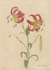 Album aquarelle van Deborah Griscom Passmore Pl02 - Deborah Griscom Passmore — weergave van het kunstwerk