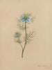 Album aquarelle van Deborah Griscom Passmore Pl05 - Deborah Griscom Passmore — weergave van het kunstwerk