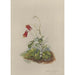 Reproductie van het schilderij Album van aquarellen van Deborah Griscom Passmore Pl06 - Deborah Griscom Passmore