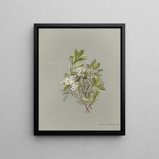 Deborah Griscom Passmore - Deborah Griscom Passmore watercolor album Pl09.webp