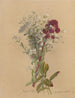 Album aquarelle van Deborah Griscom Passmore Pl14 - Deborah Griscom Passmore — weergave van het kunstwerk