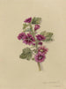 Album aquarelle van Deborah Griscom Passmore Pl16 - Deborah Griscom Passmore — weergave van het kunstwerk