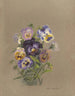 Album aquarelle van Deborah Griscom Passmore Pl17 - Deborah Griscom Passmore — weergave van het kunstwerk