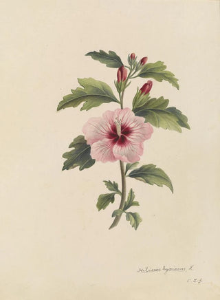 Deborah Griscom Passmore - Deborah Griscom Passmore watercolor album Pl19.webp