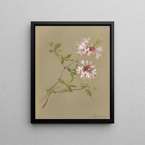 Deborah Griscom Passmore - Deborah Griscom Passmore watercolor album Pl24.webp