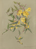 Album aquarelle van Deborah Griscom Passmore Pl28 - Deborah Griscom Passmore — weergave van het kunstwerk