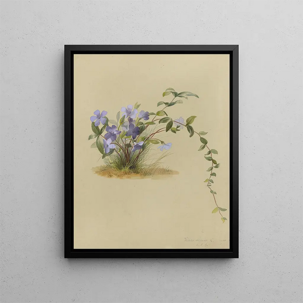 Deborah Griscom Passmore - Deborah Griscom Passmore watercolor album Pl32.webp