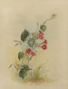 Album aquarelle van Deborah Griscom Passmore Pl34 - Deborah Griscom Passmore — weergave van het kunstwerk
