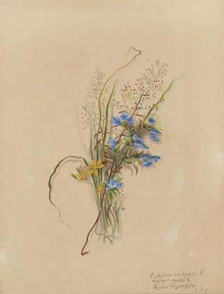 Deborah Griscom Passmore - Deborah Griscom Passmore watercolor album Pl37.webp