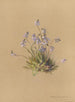 Album aquarelle van Deborah Griscom Passmore Pl40 - Deborah Griscom Passmore — weergave van het kunstwerk