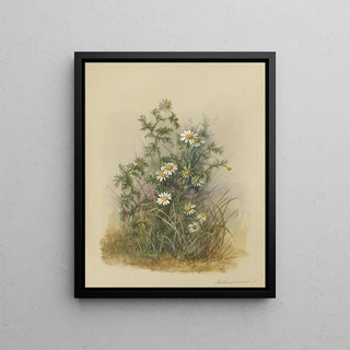 Deborah Griscom Passmore - Deborah Griscom Passmore watercolor album Pl53.webp