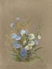 Album aquarelle van Deborah Griscom Passmore Pl58 - Deborah Griscom Passmore — weergave van het kunstwerk