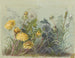 Album de aquarelles de Deborah Griscom Passmore Pl60 - Deborah Griscom Passmore — weergave van het kunstwerk