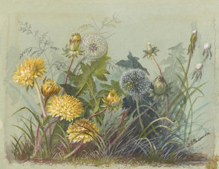 Deborah Griscom Passmore - Deborah Griscom Passmore watercolor album Pl60.webp