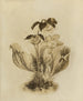 Album aquarelle van Deborah Griscom Passmore Pl61 - Deborah Griscom Passmore — weergave van het kunstwerk