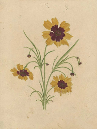 Deborah Griscom Passmore - Deborah Griscom Passmore watercolor album Pl68.webp