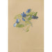 Album met aquarellen van Deborah Griscom Passmore Pl69 - Deborah Griscom Passmore — weergave van het kunstwerk