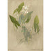 Reproductie van het schilderij Album met aquarellen van Deborah Griscom Passmore Pl77 - Deborah Griscom Passmore
