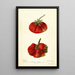 Reproductie van het schilderij Fragaria Dew - Deborah Griscom Passmore
