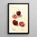 Reproductie van het schilderij Fragaria Maynor - Deborah Griscom Passmore