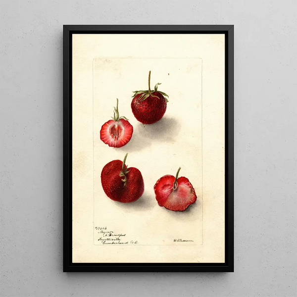 Reproductie van het schilderij Fragaria Maynor - Deborah Griscom Passmore