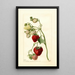 Reproductie van het schilderij Fragaria Timbrell - Deborah Griscom Passmore