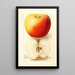 Reproductie van het schilderij Malus domestica Banana - Deborah Griscom Passmore