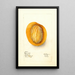 Reproductie van het schilderij Mangifera indica Raja Purra - Deborah Griscom Passmore