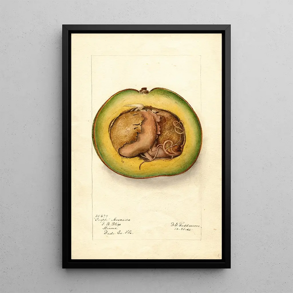 Reproductie van het schilderij Persea Trapp - Deborah Griscom Passmore