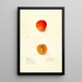 Reproductie van het schilderij Prunus domestica Golden Queen - Deborah Griscom Passmore