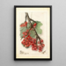Reproductie van het schilderij Ribes Perfection - Deborah Griscom Passmore
