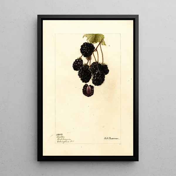 Rubus Lawton - Deborah Griscom Passmore — ingelijst kunstwerk aan de muur