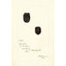 Rubus Lucretia - Deborah Griscom Passmore — weergave van het kunstwerk