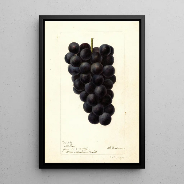 Reproductie van het schilderij Vitis McPike - Deborah Griscom Passmore
