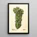 Vitis Sauvignon Vert - Deborah Griscom Passmore — ingelijst kunstwerk aan de muur