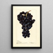 Reproductie van het schilderij Vitis Superbe - Deborah Griscom Passmore
