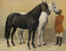 Twee paarden van prins Anatole Demidoff - Denis Auguste Marie Raffet — weergave van het kunstwerk