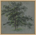 Twee bomen - Johann Jacob Dorner — weergave van het kunstwerk