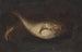 Natuurstudie met twee vissen - Domenico Grosso — weergave van het kunstwerk