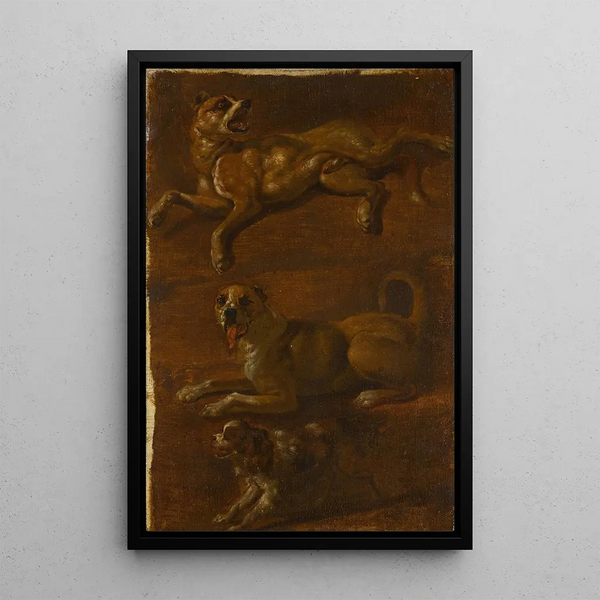 Three studies of dogs - Dutch School — framed artwork on a wall
