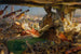 Stradivarius in zijn atelier - Edgar Bundy — weergave van het kunstwerk