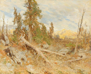 Eduard Peithner von Lichtenfels - Windthrow.webp