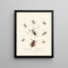 Een overzicht van de natuurlijke geschiedenis van de insecten van Nieuw-Holland Nieuw-Zeeland Pl04 - Edward Donovan — ingelijst kunstwerk aan de muur