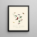 Een overzicht van de natuurlijke geschiedenis van de insecten van Nieuw-Holland Nieuw-Zeeland Pl39 - Edward Donovan — ingelijst kunstwerk aan de muur