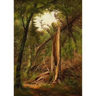 Edward Hill - Woodland Interior.webp