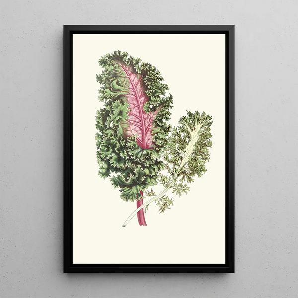 Reproductie van het schilderij De bladachtige planten - Edward Joseph Lowe