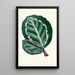 Maranta Illustris - Edward Joseph Lowe — ingelijst kunstwerk aan de muur