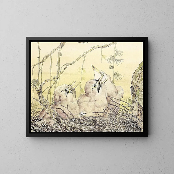 The Jay - Edward Julius Detmold — framed artwork on a wall