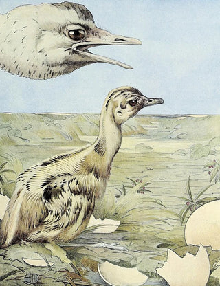 Edward Julius Detmold - The Rhea.webp